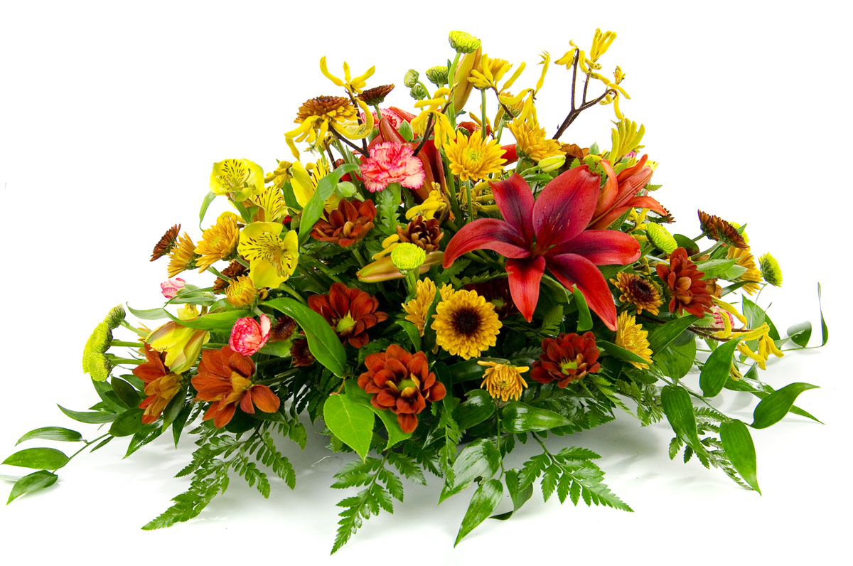 <b>Notice</b>: Undefined index: name in <b>/home/stranges/public_html/shop/vqmod/vqcache/vq2-catalog_view_theme_default_template_product_search.tpl</b> on line <b>386</b>